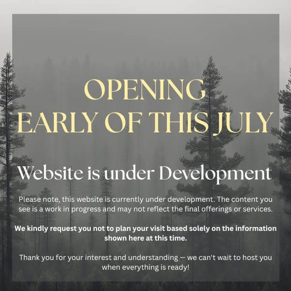 Website Splash - Mod
