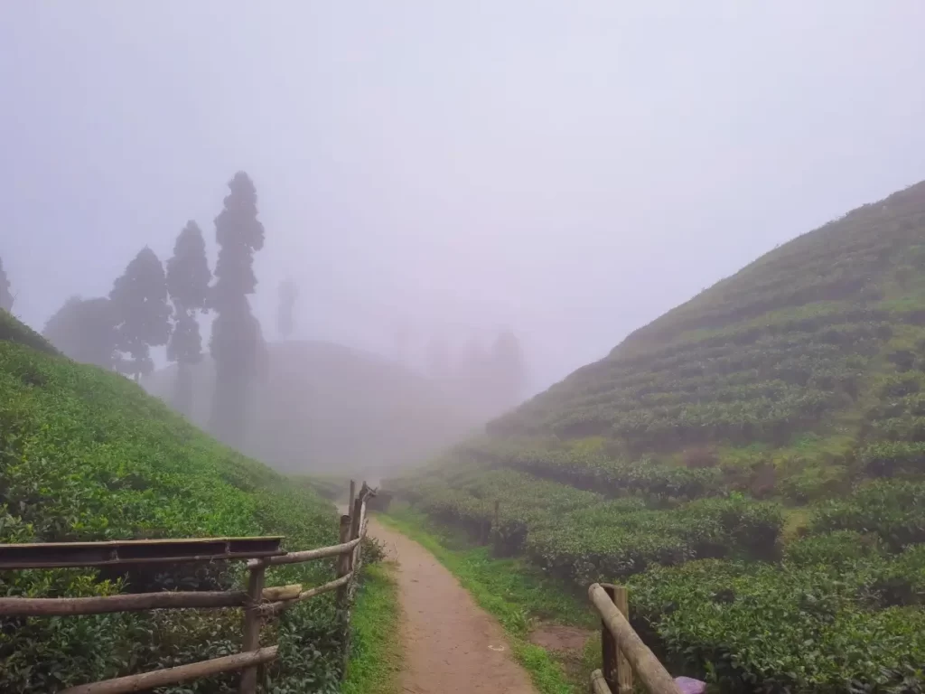 Darjeeling Winter Trip